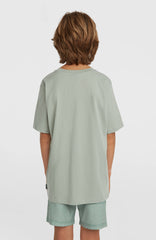 O'Neill Logo Stripe Swimshorts Boys Green Heritage O'Neill