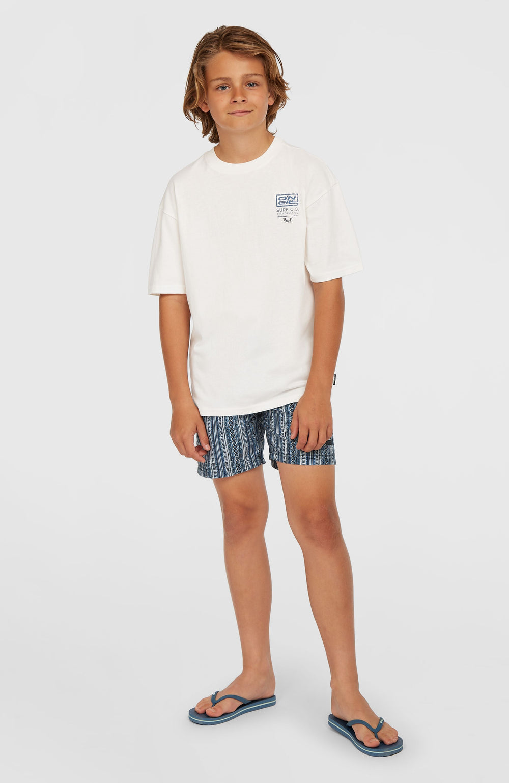 Cali 14'' Swim Shorts Blue Pressed Lines