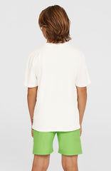 Original Cali 14'' Swim Shorts Paradise Valley