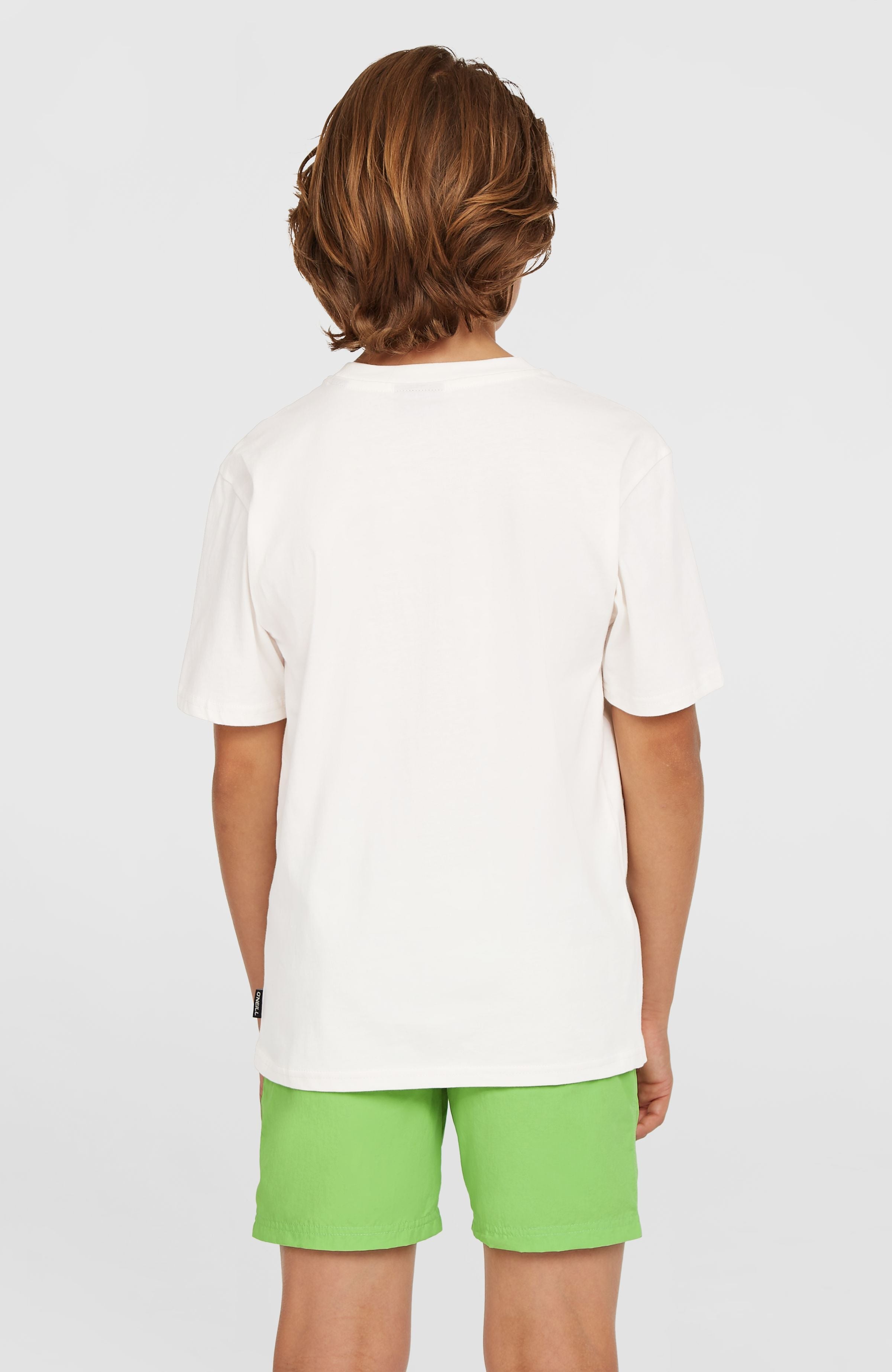 Vert 14'' Swim Shorts Paradise Valley