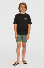 Cali 14'' Swim Shorts Blue Gradikat