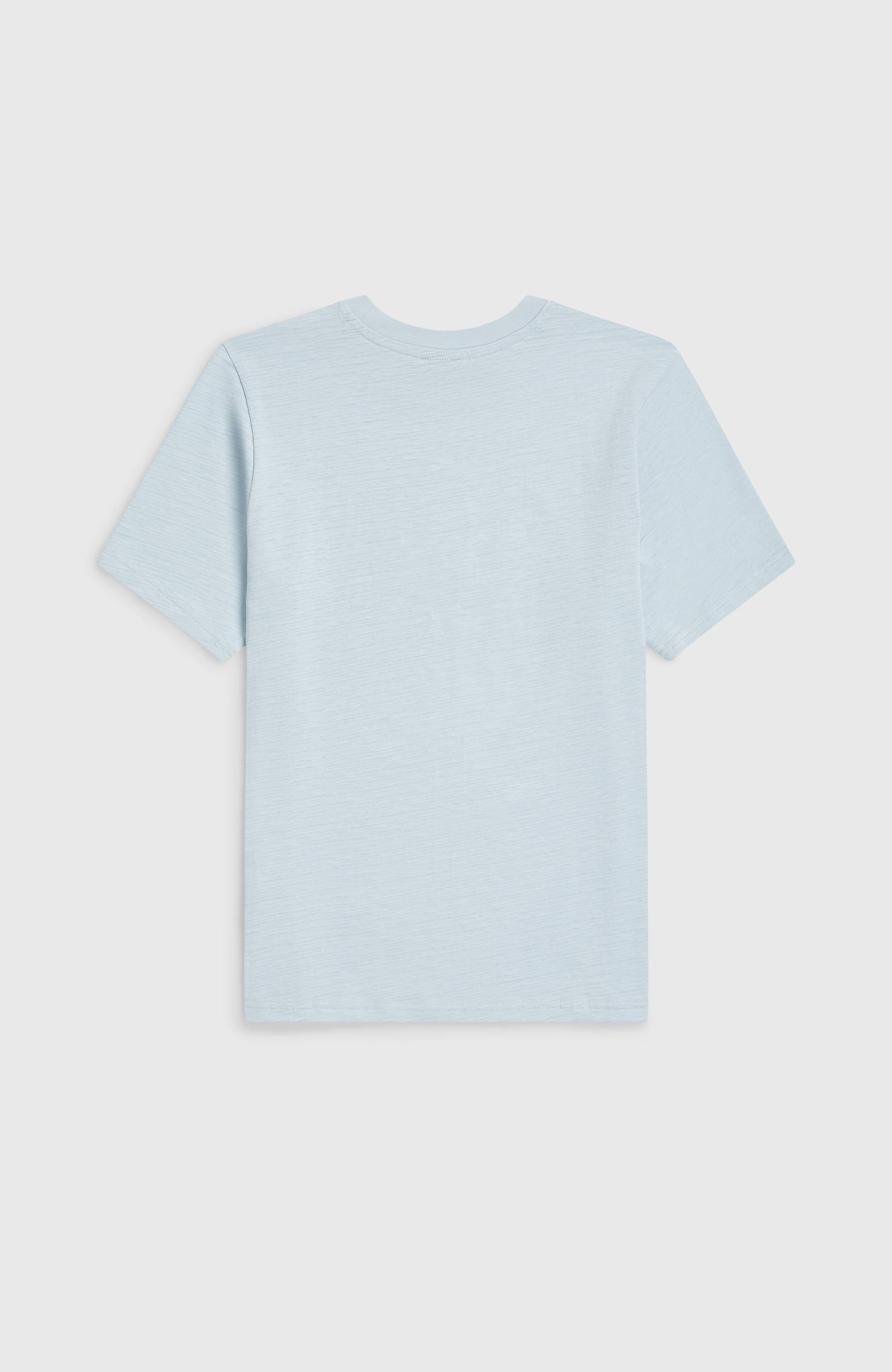 Slub Graphic T-Shirt Spindle