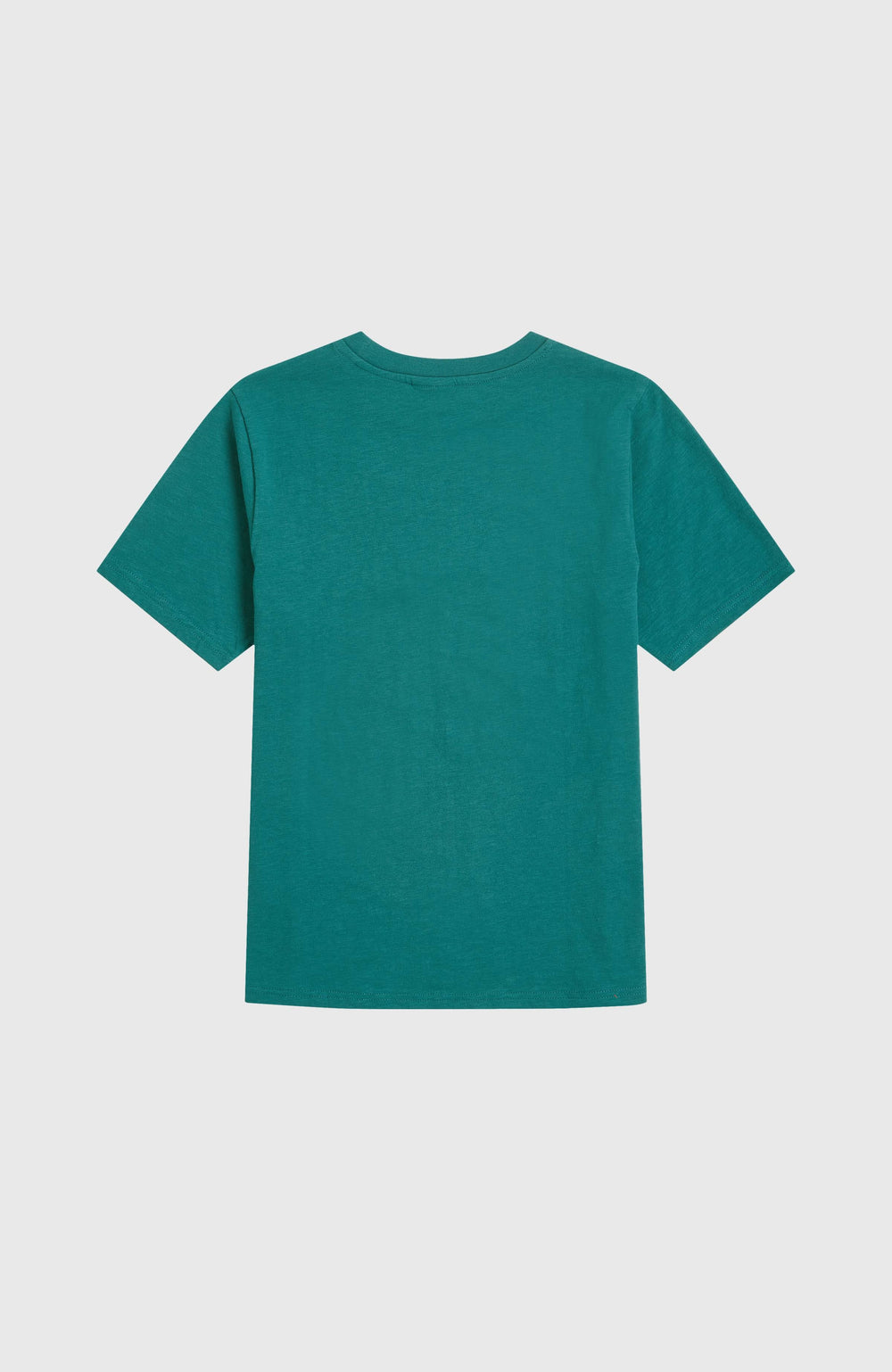 Slub Graphic T-Shirt Botanical Heat