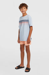 O'Neill Logo Stripe T-Shirt Spindle