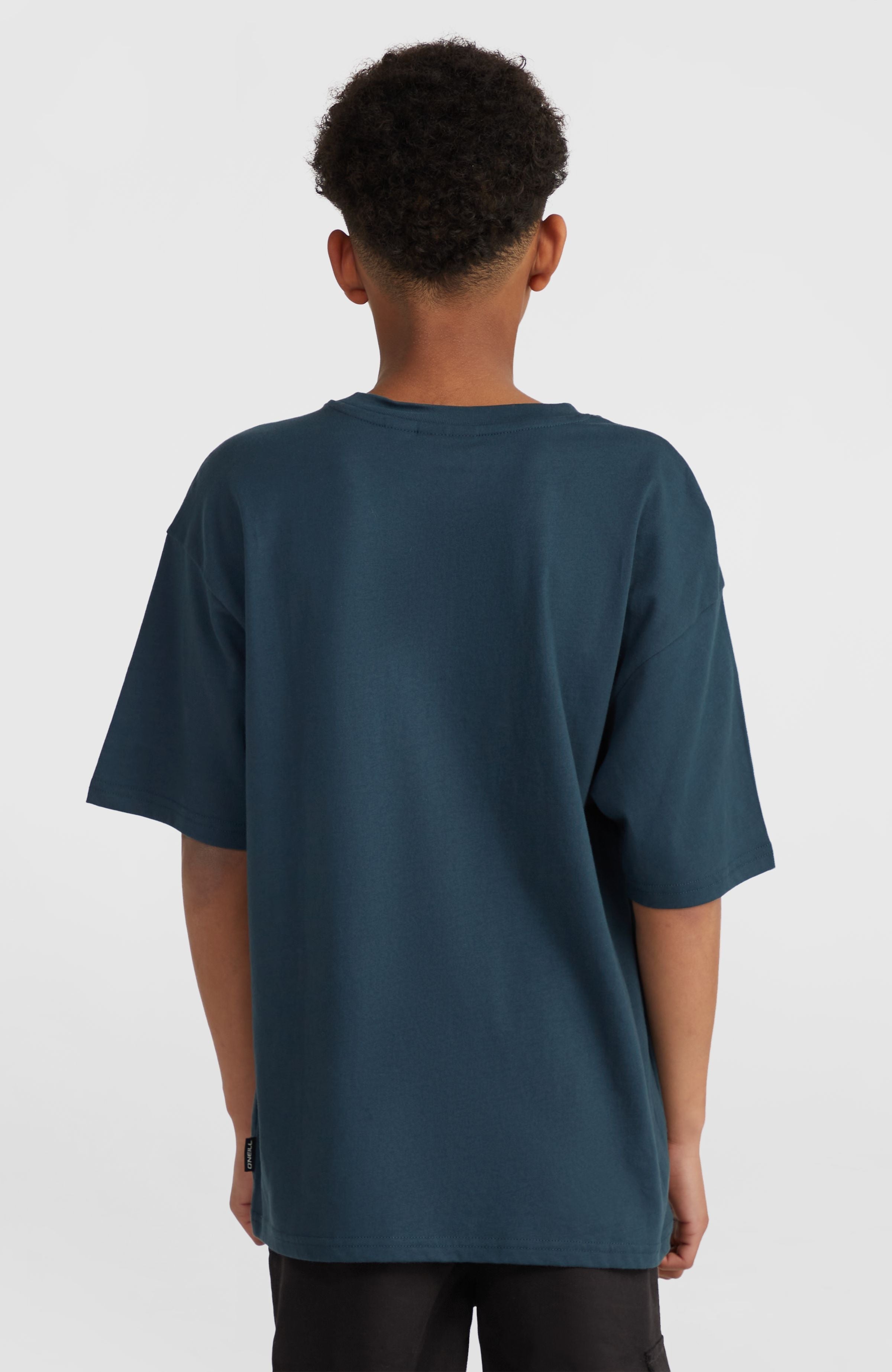 Graphic T-Shirt Alma Steel