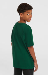 O'Neill Wave T-Shirt Emerald Envy