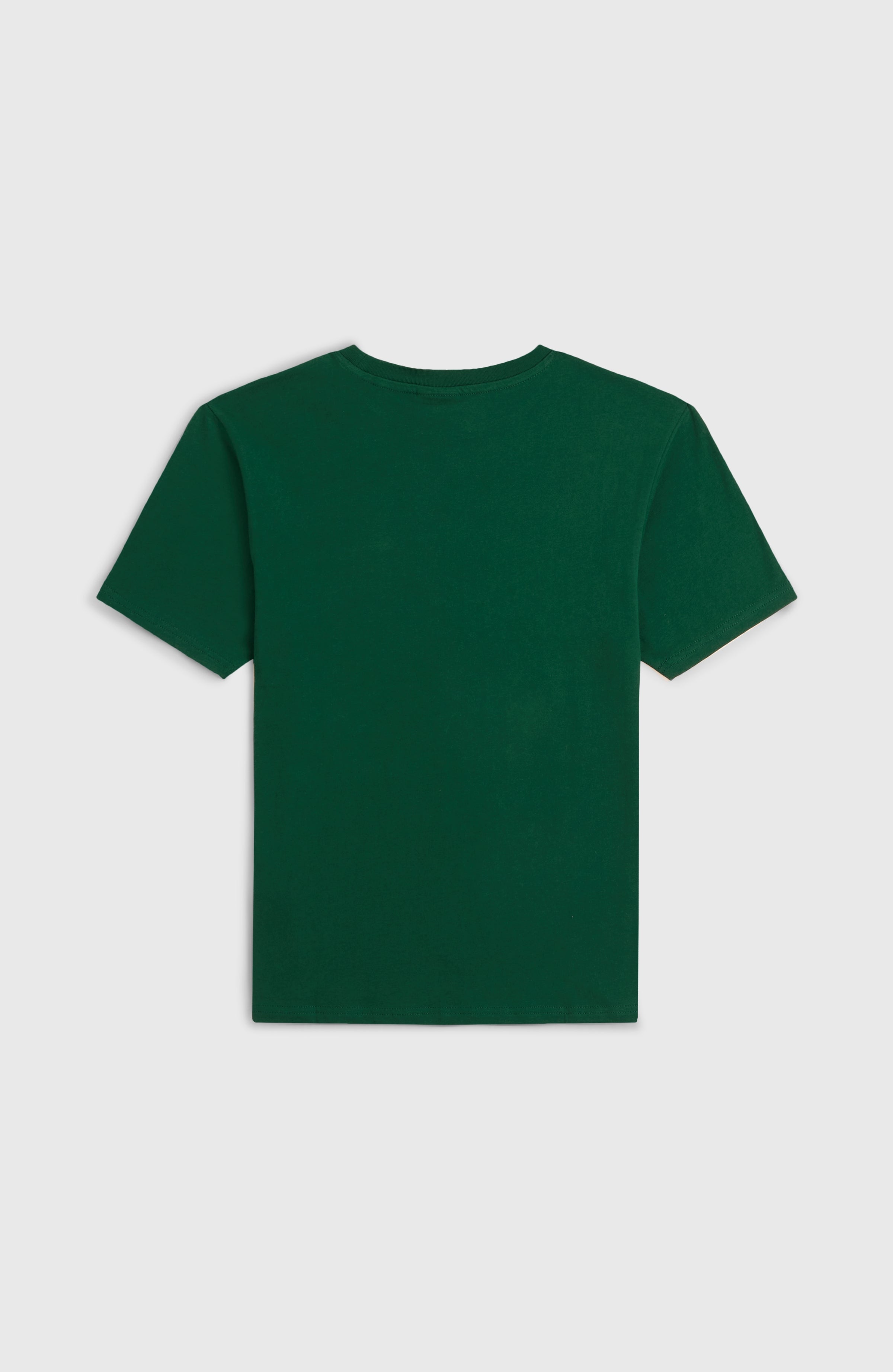 O'Neill Wave T-Shirt Emerald Envy