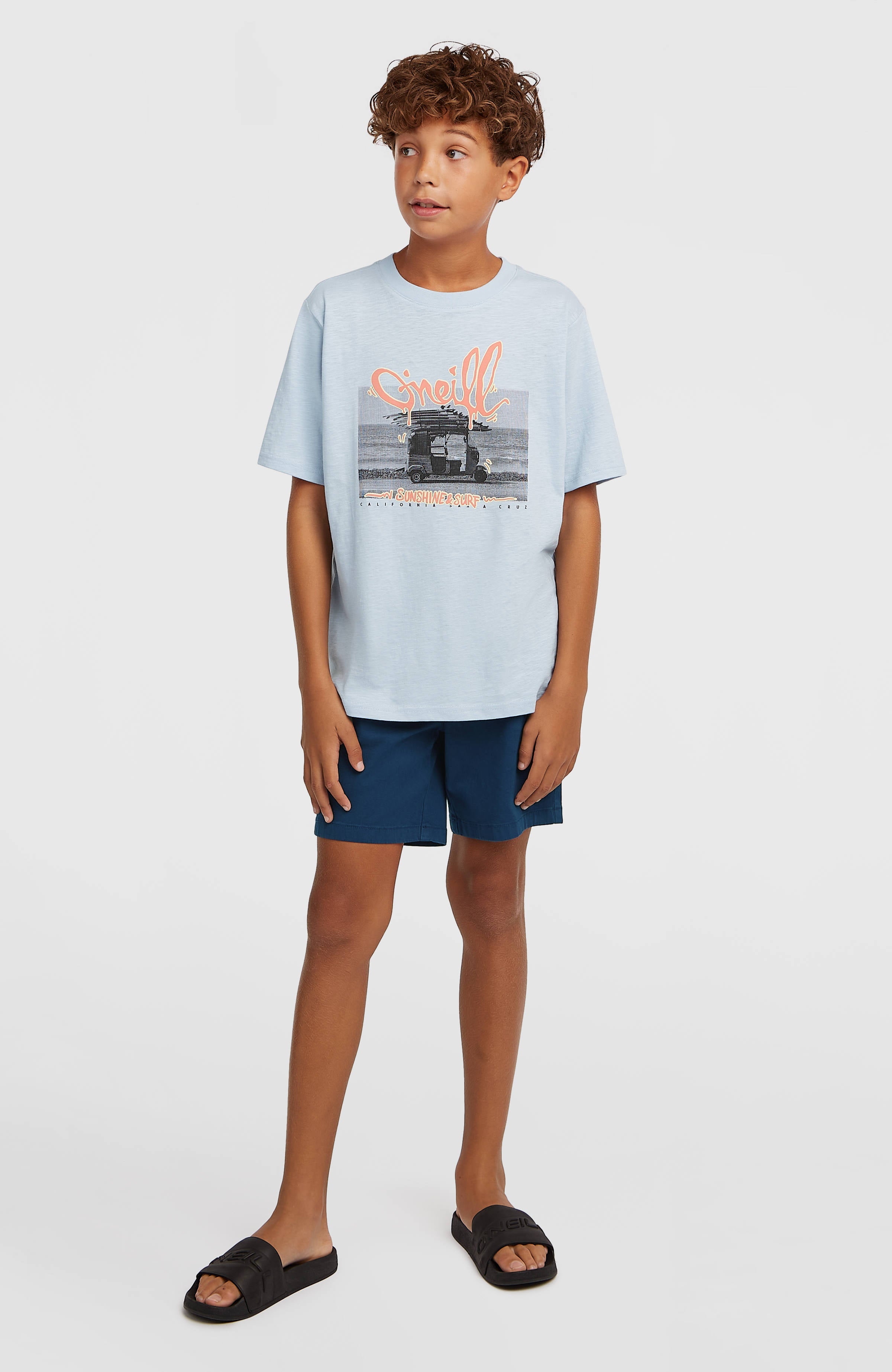 Chino Shorts English Evening