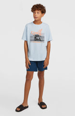 Chino Shorts English Evening