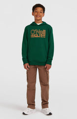 Cargo Pants Hazel Spice