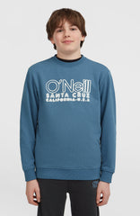 Essentials Crew Sweatshirt Mozart Blue