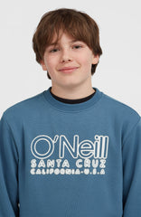 Essentials Crew Sweatshirt Mozart Blue