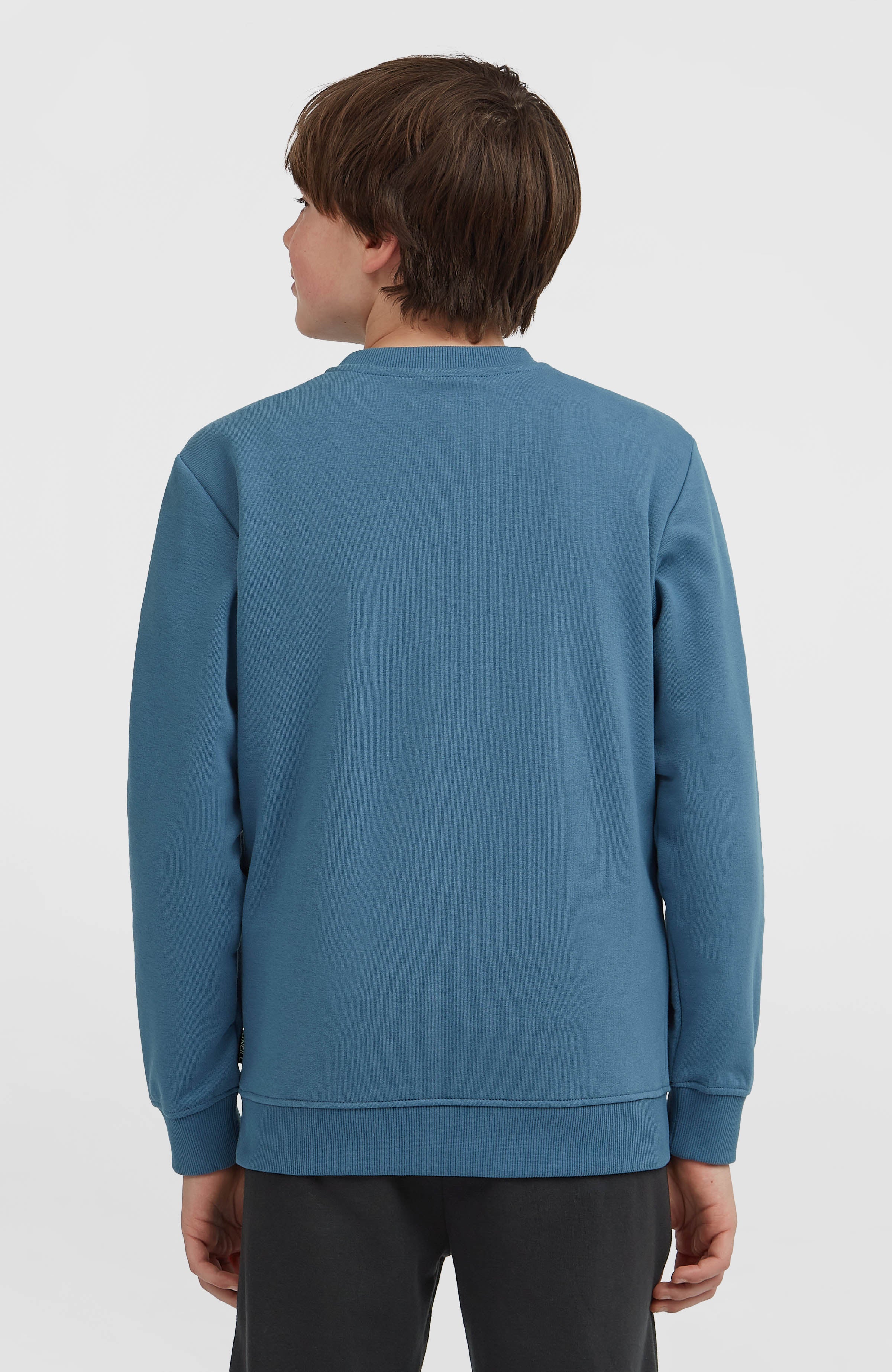 Essentials Crew Sweatshirt Mozart Blue