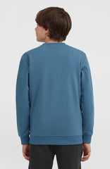 Essentials Crew Sweatshirt Mozart Blue