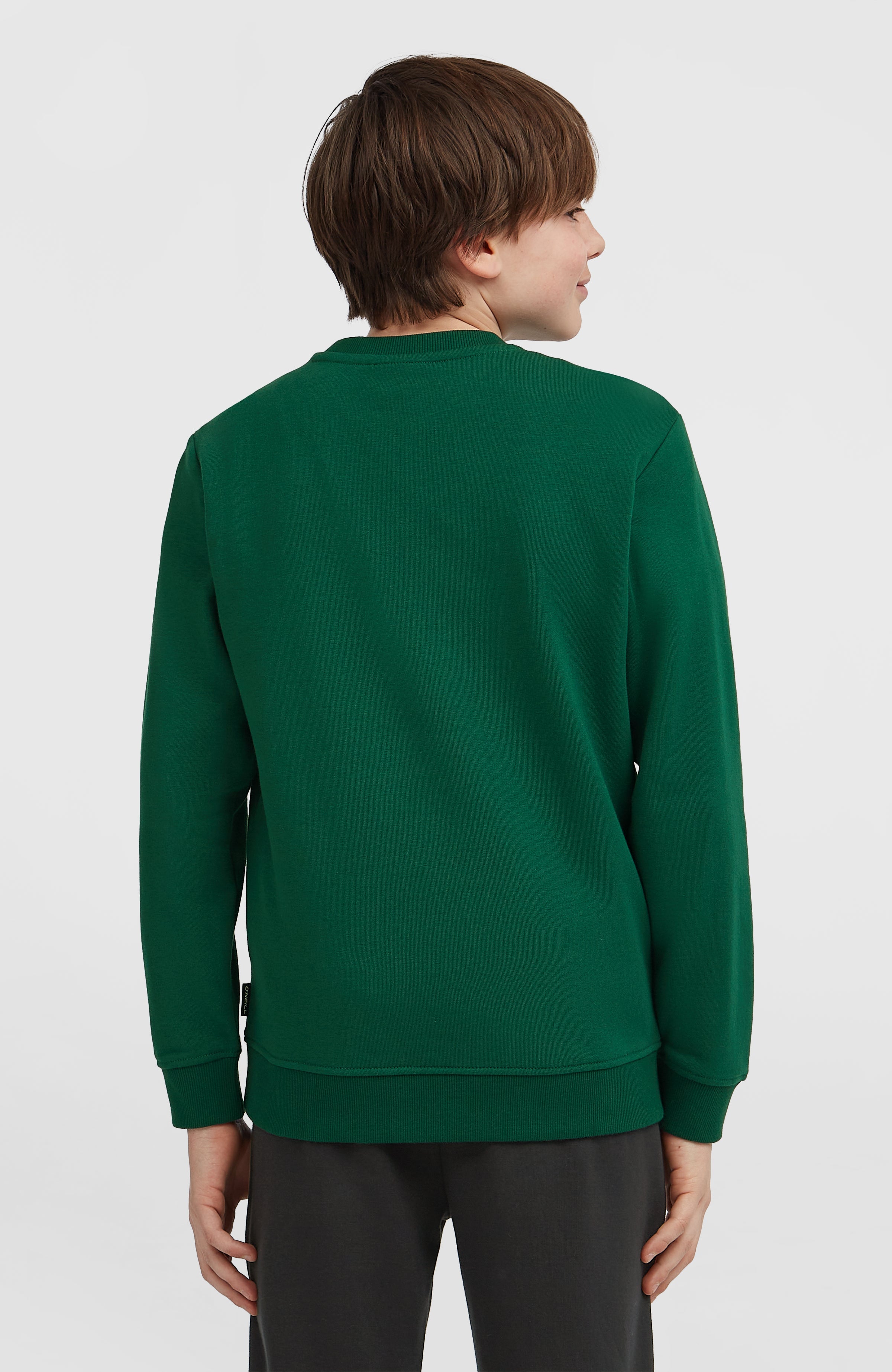 Essentials Crew Sweatshirt Emerald Envy