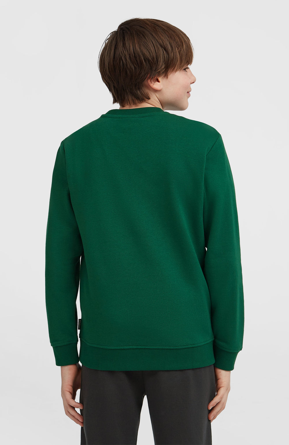 Essentials Crew Sweatshirt Emerald Envy