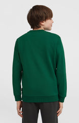 Essentials Crew Sweatshirt Emerald Envy