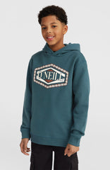 Front Print Hoodie Alma Steel