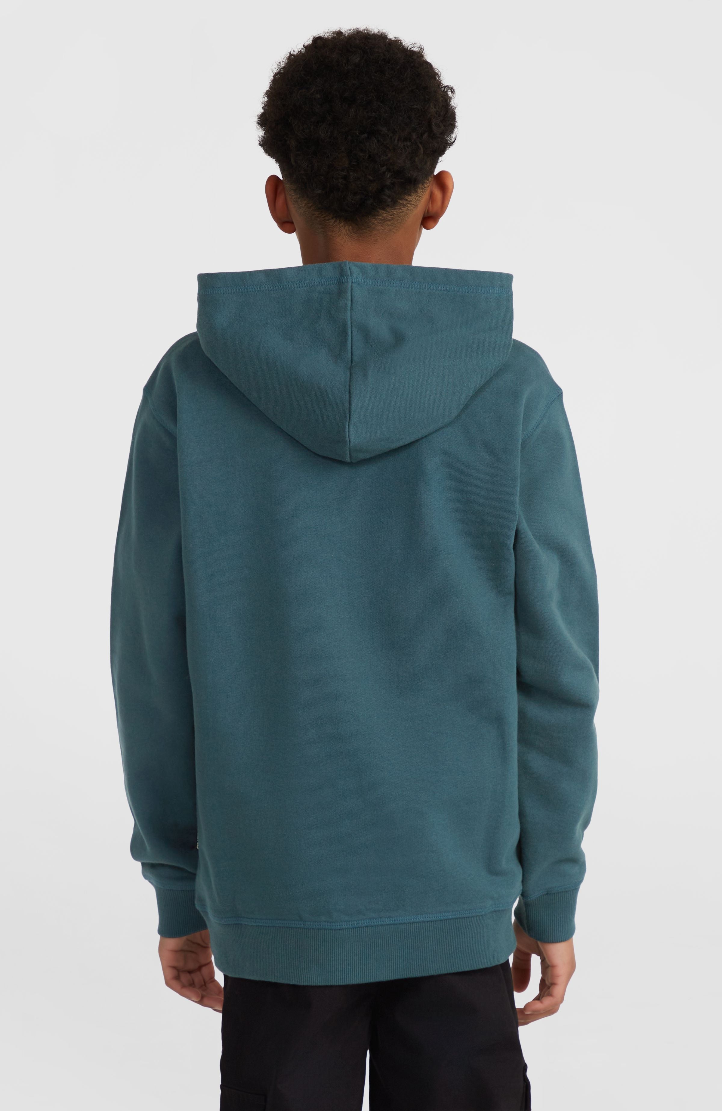 Front Print Hoodie Alma Steel