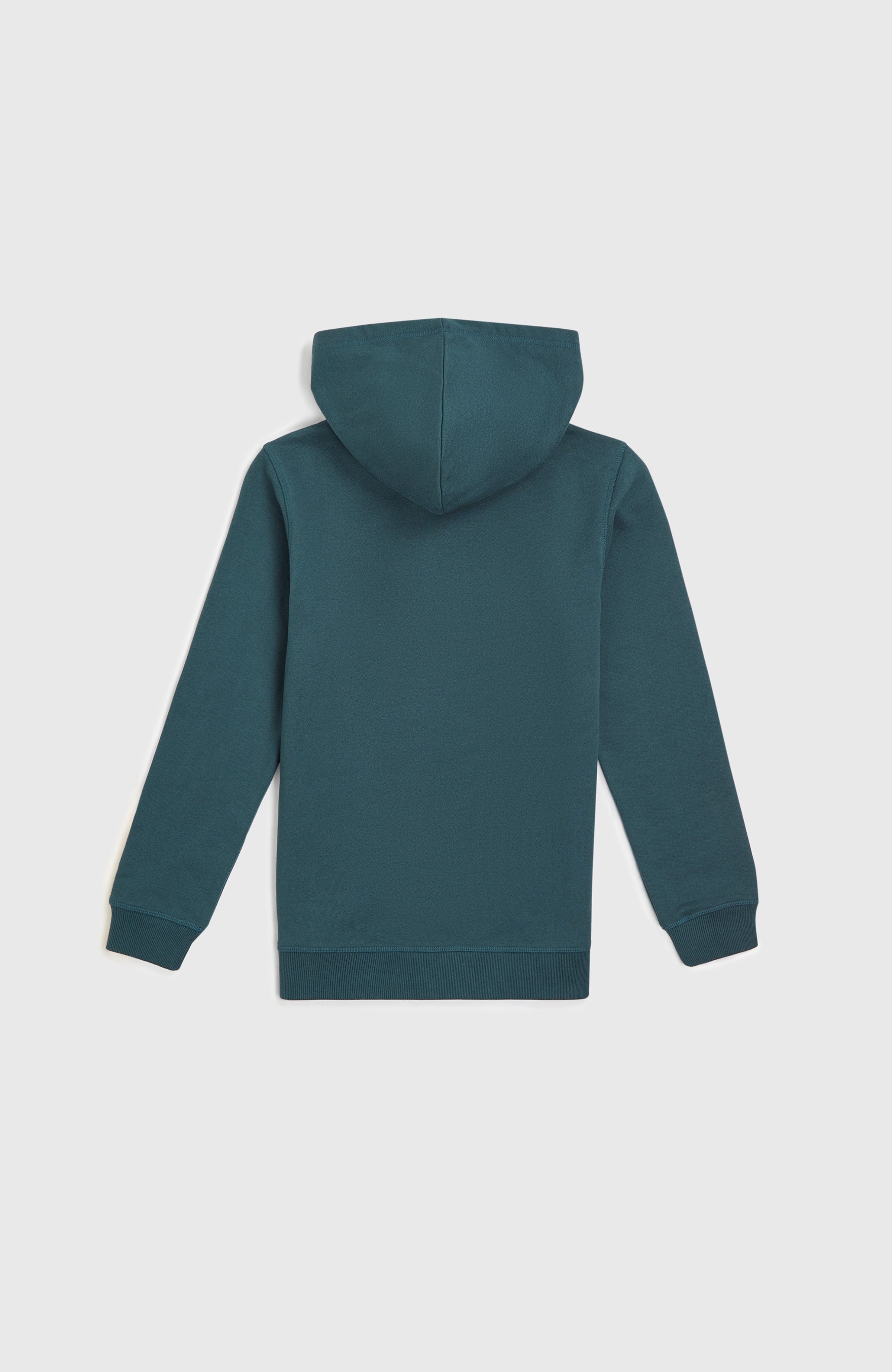 Front Print Hoodie Alma Steel
