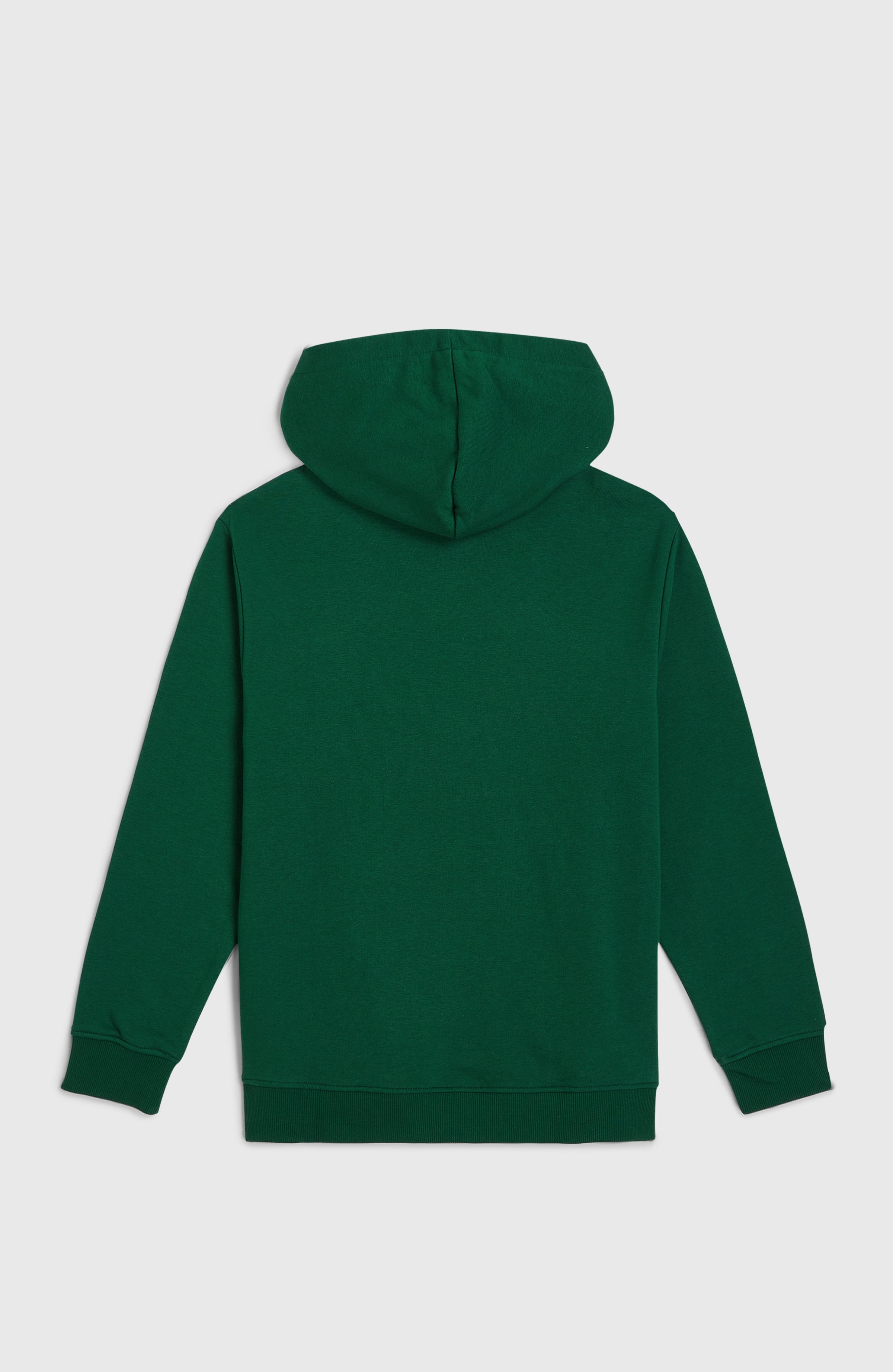 Essentials Hoodie Emerald Envy