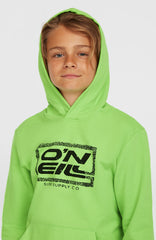 Logo Hoodie Paradise Valley