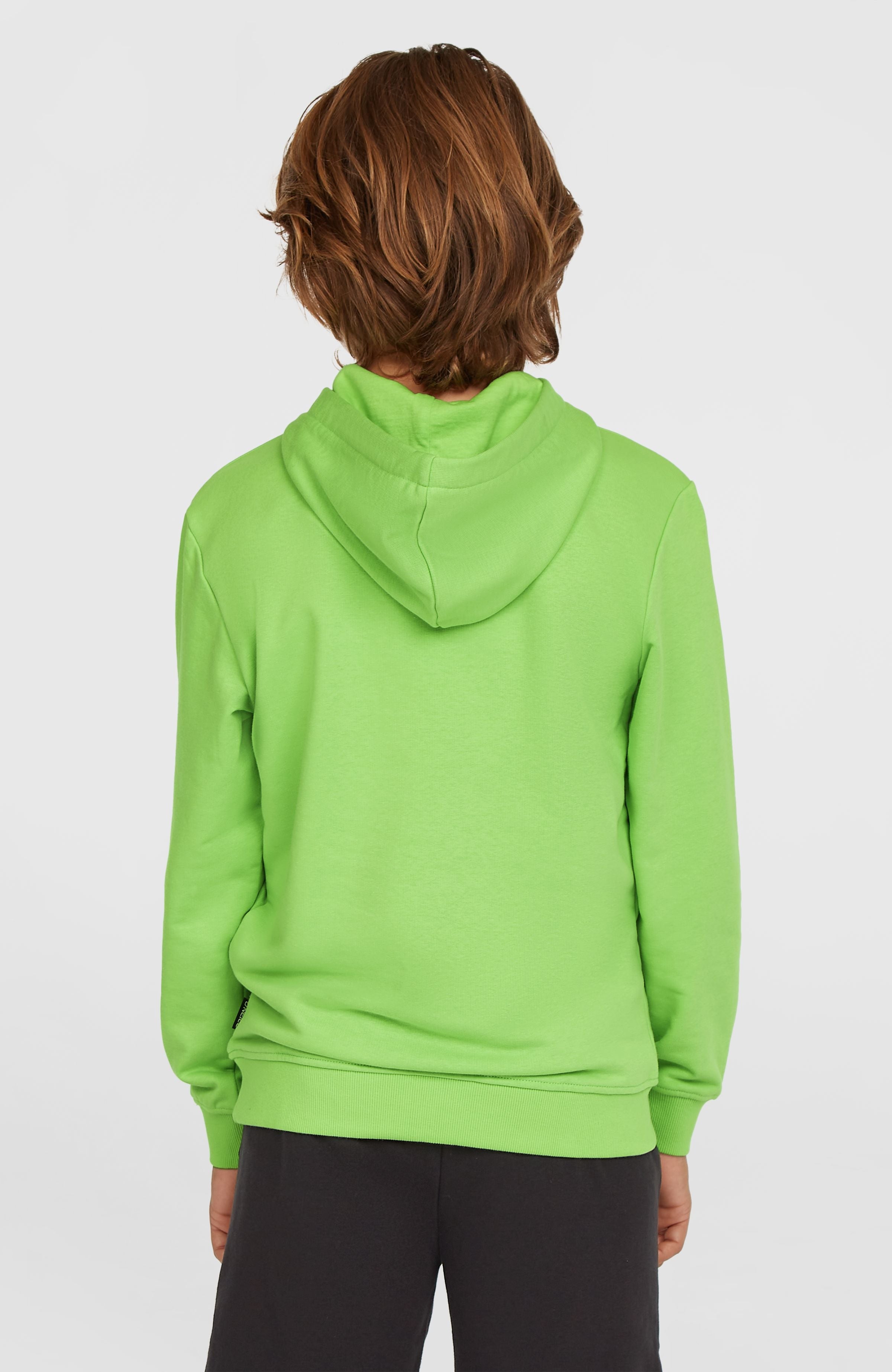 Logo Hoodie Paradise Valley