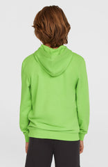 Logo Hoodie Paradise Valley