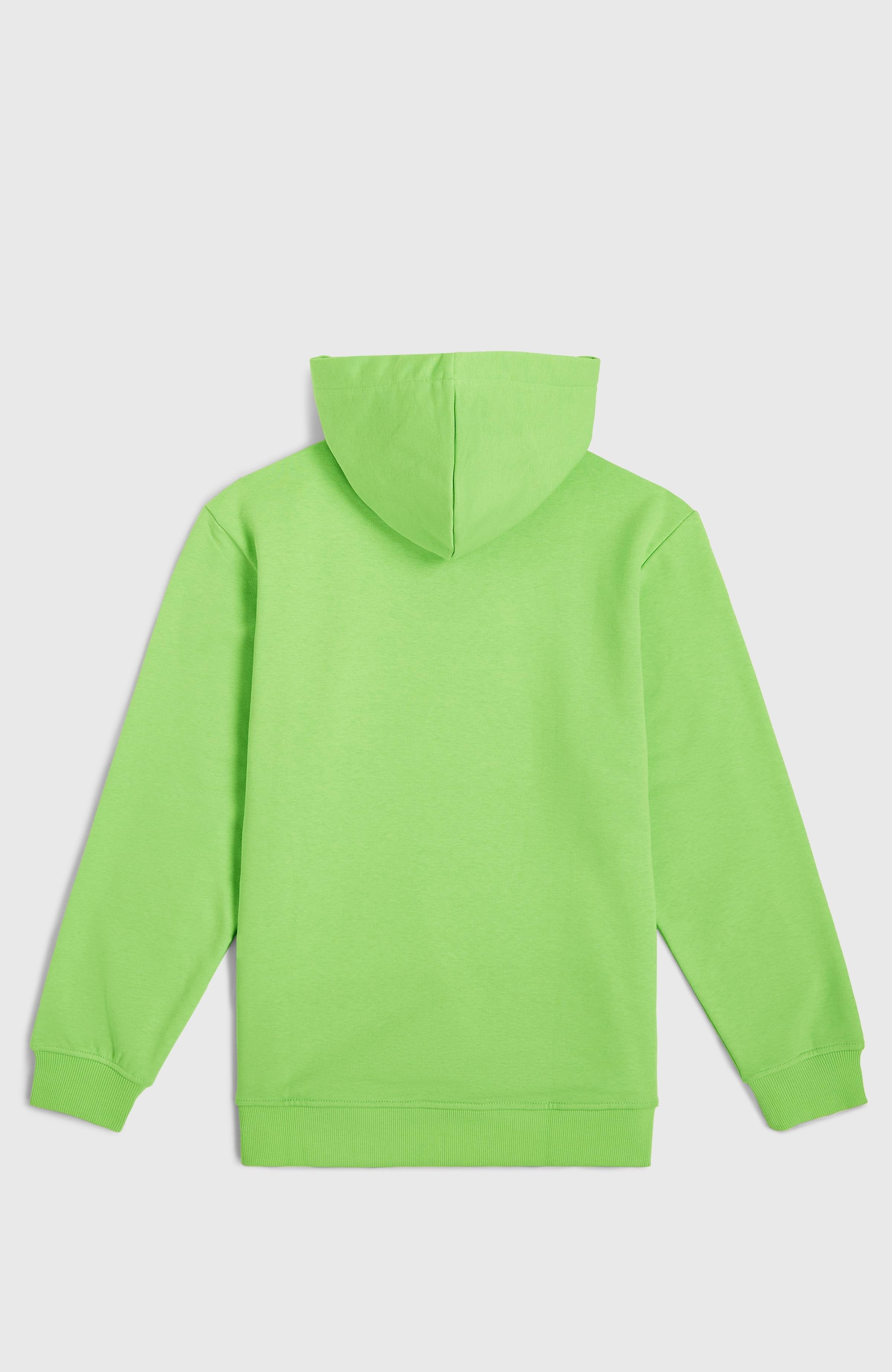 Logo Hoodie Paradise Valley