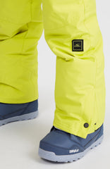 Hammer Snow Pants Luca Lime