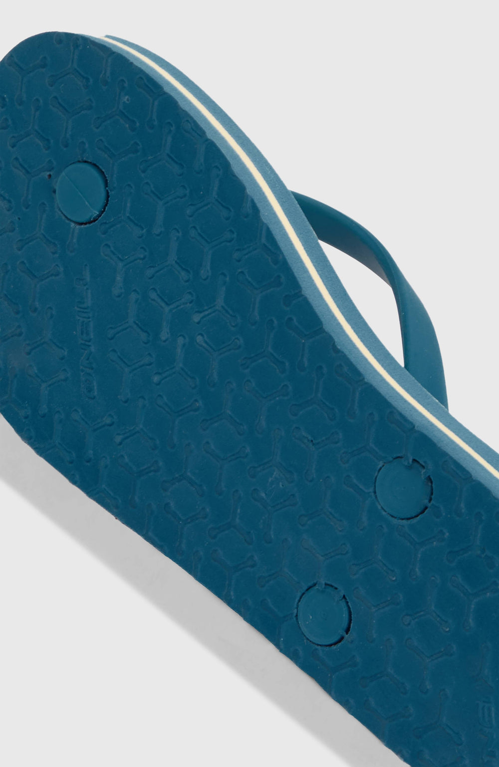 Profile Graphic Sandals Blue Santa Monica